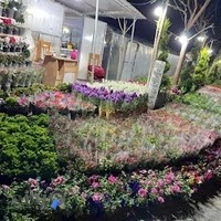 باغ گل سادات