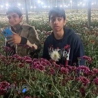 مجتمع گل و گیاه گلدشت