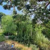 باغ رستوران والا