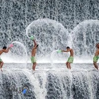 استخربرج تهران خودرو
