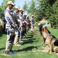 گروه کار SK9