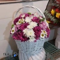 گل فروشی سام