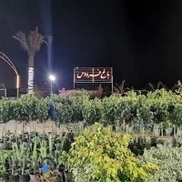 گلخانه باغ فردوس