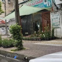 گلخانه فاضلی