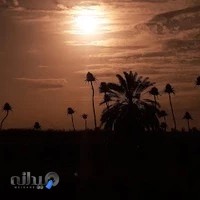 استودیو اکشن حسن شریفی