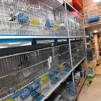 پرنده سرای ماکائو