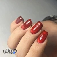 خدمات ناخن لطیفان