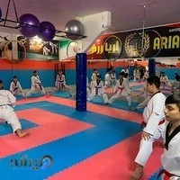 باشگاه ورزشی آریا رزم