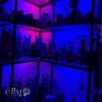شرکت بازرگانی موتور آوران وطن(BMV)