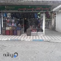 کتونی کاکتوس