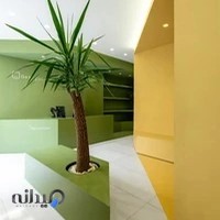 دکتر مهتاب ابراهیمینژاد | متخصص ارتودنسی در کاشان