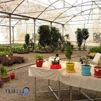 گلخانه گل و گیاهان زینتی وآپارتمانی