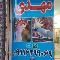 پرنده سرای مهدی