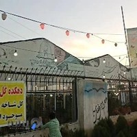 دهکده گل امیر