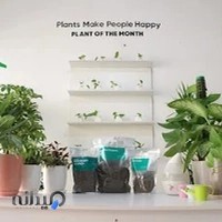 گلشو فروشگاه آنلاین گیاهان آپارتمانی
