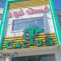 پیتزا کاکتوس