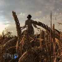 آتلیه فیلم و عکس مهدی ماهانی