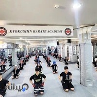 آکادمی کیوکوشین کاراته