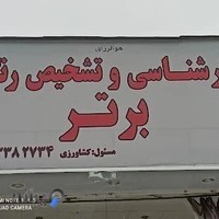 تشخیص رنگ برتر