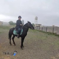 باشگاه سوارکاری ساوالان