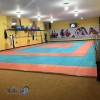 باشگاه فرهنگی ورزشی پانزده خرداد