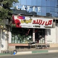 فروشگاه گل رزند آلیس
