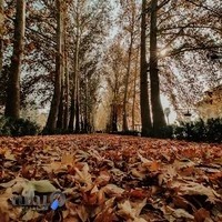 آتلیه پرواز