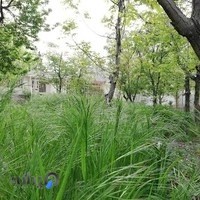 پیش دبستان و دبستان دخترانه سریر خرد