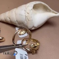 جواهری ولیعصر(عج)
