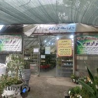 نمایشگاه و فروشگاه گل و گیاه تراریوم