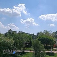 مدیریت استاندارد،سلامت،غذا و دارو