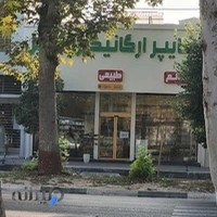 هایپر ارگانیک بابل