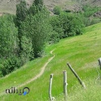 اپارات فتحی