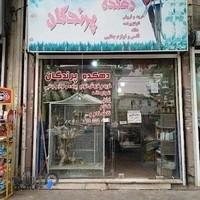 دهکده پرندگان
