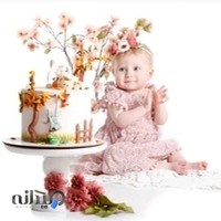 فیلیک استودیو