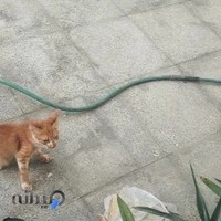 هنرستان پسرانه علوم و فنون دریایی دریابان غلامعلی بایندر
