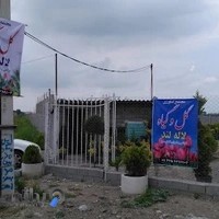 Dr.Momeni گل و گیاه لاله لند