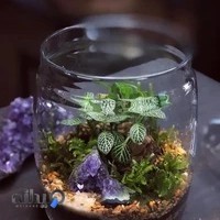 گالری گل لوسیان