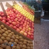 عکاسی مرجان