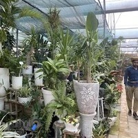 نمایشگاه گل و گیاه هانی گل
