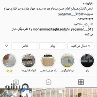 پرنده سرا بهنام