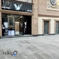 ویکتور