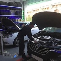 اتو سرویس برادران چگینی