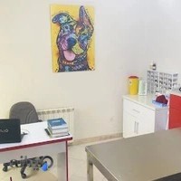 کلینیک دامپزشکی پرند دکتر داراب‌پور