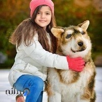 آتلیه عکاسی آرت