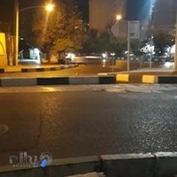 تعمیرگاه خودروهای هنرور