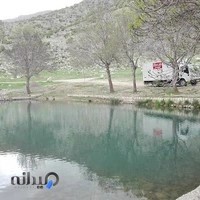 شرکت سراسری شیرین عسل