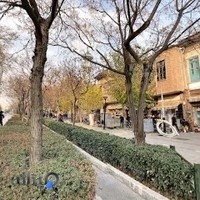 شرکت بازرگانی میامی