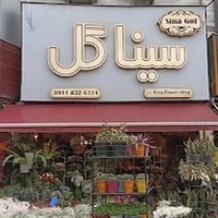سینا گل