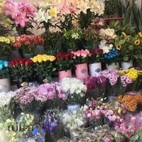 گل فروشی ولنتینو